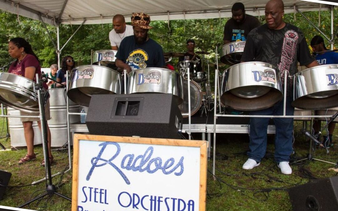 D’Radoes Steel Band Orchestra (Entertainer) - Taste CT